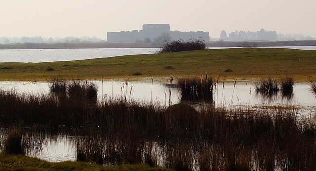 Camber Castle