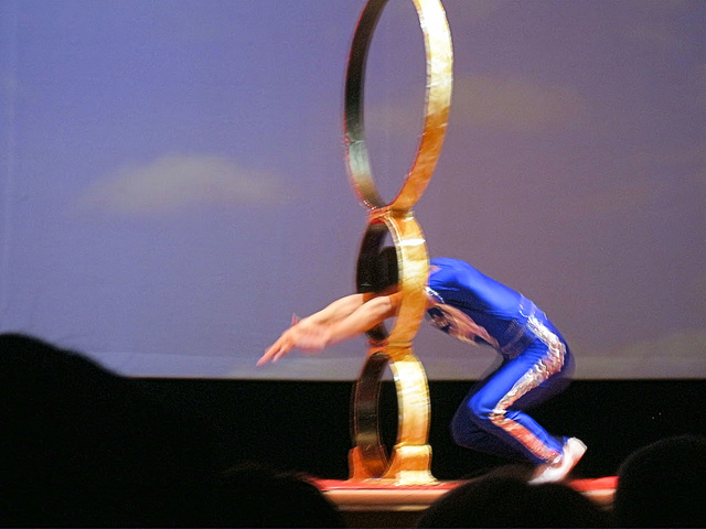 The Shanghai Acrobats