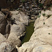 Crown Prince Lookout - Live Oak Canyon Loop (5932)