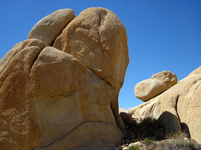 Crown Prince Lookout - Live Oak Canyon Loop (5934)