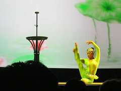 The Shanghai Acrobats