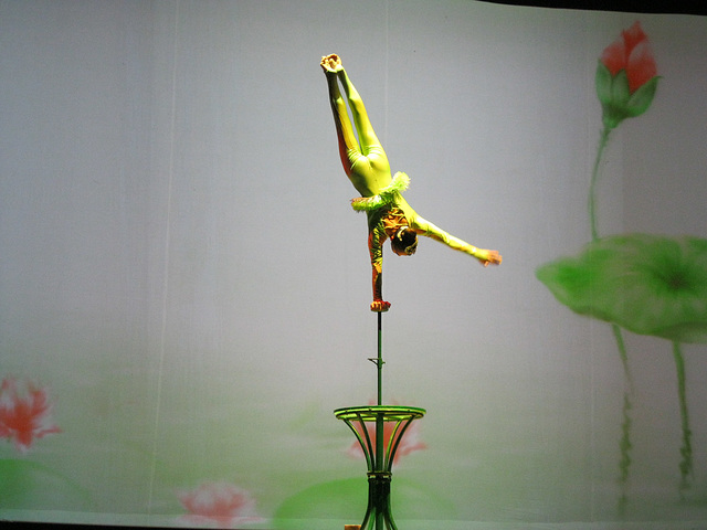 The Shanghai Acrobats