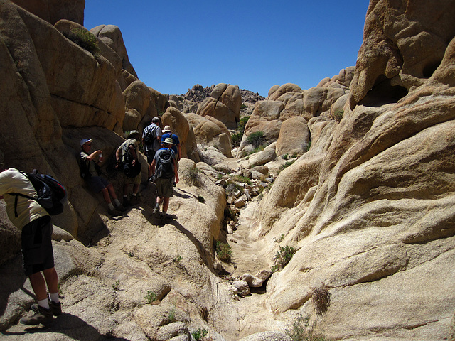 Crown Prince Lookout - Live Oak Canyon Loop (5936)