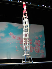 Shanghai acrobat