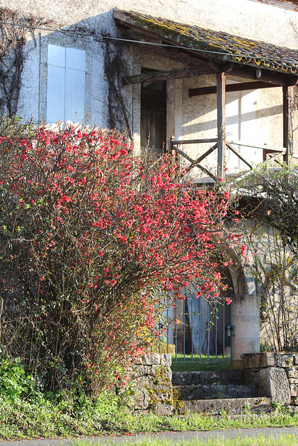 Saint-Cirq-Lapopie