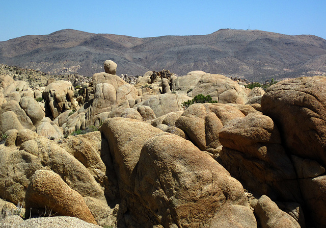 Crown Prince Lookout - Live Oak Canyon Loop (5939)