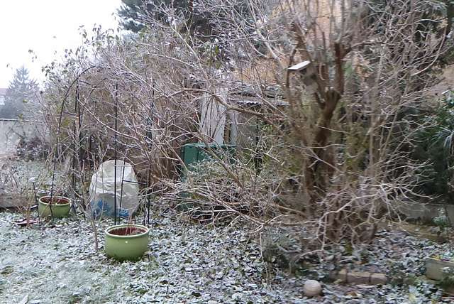 Mon petit jardin - my little garden - mein kleiner Garten