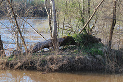 Saint-Cirq-Lapopie