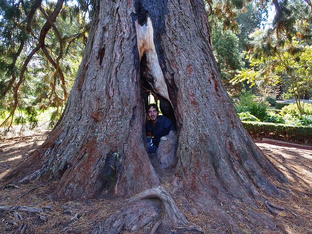 Ballarat Botanical Gardens