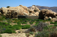 Crown Prince Lookout - Live Oak Canyon Loop (5940)