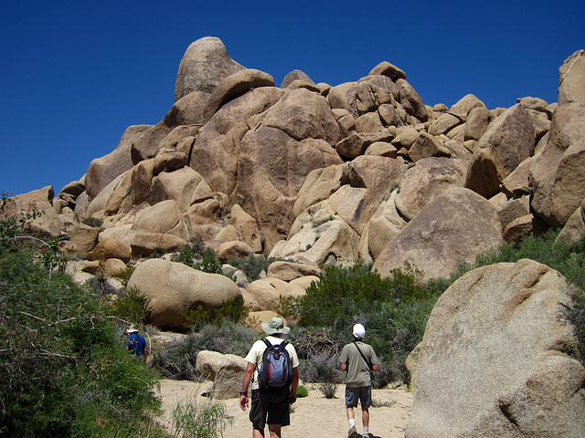 Crown Prince Lookout - Live Oak Canyon Loop (5942)