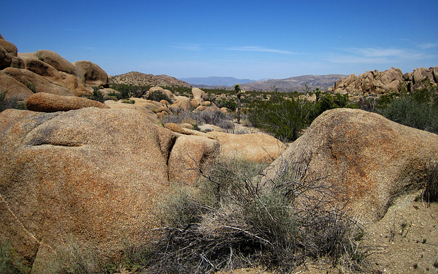 Crown Prince Lookout - Live Oak Canyon Loop (5945)