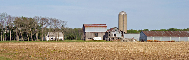 Farm in Perspective