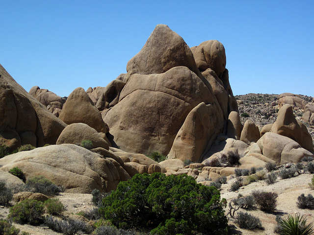 Crown Prince Lookout - Live Oak Canyon Loop (5948)