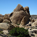 Crown Prince Lookout - Live Oak Canyon Loop (5948)