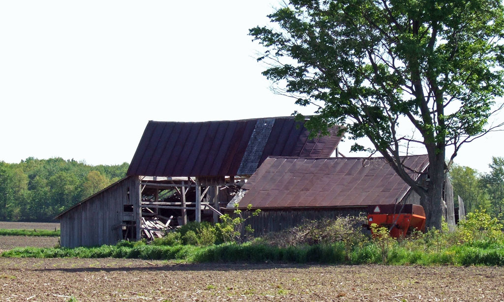 Collapsed Barn