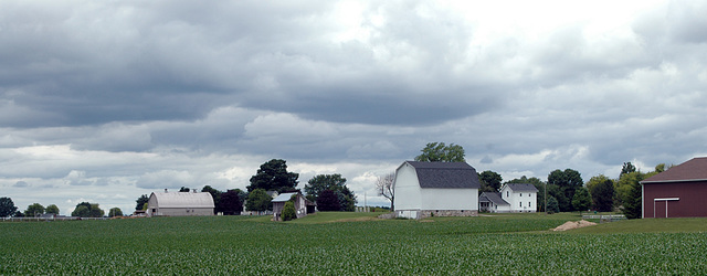 Barns in a Row