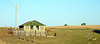 Outbuilding with Cows