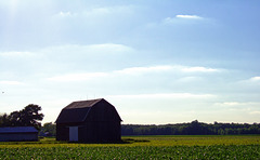 Barn Near Hoytville