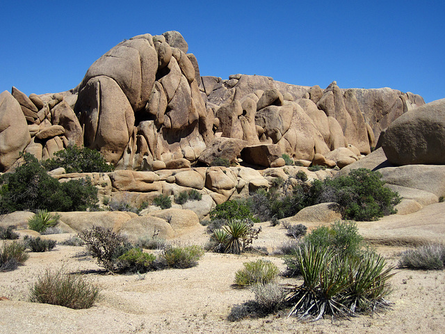 Crown Prince Lookout - Live Oak Canyon Loop (5951)