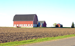 Barn