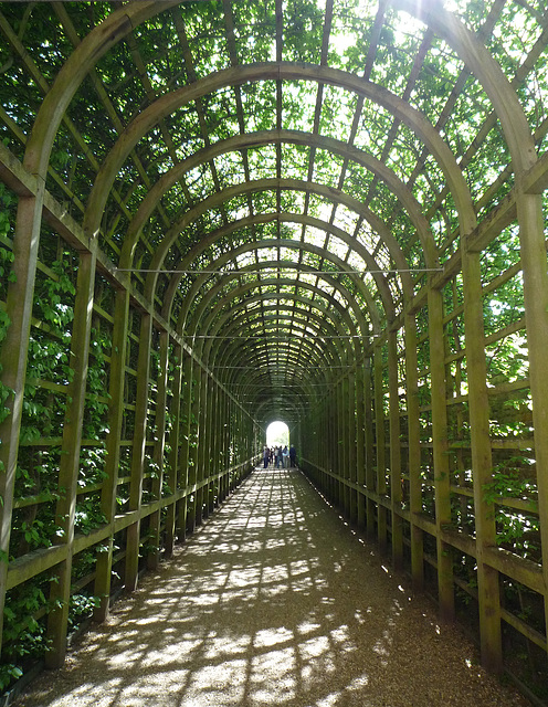 mega-pergola