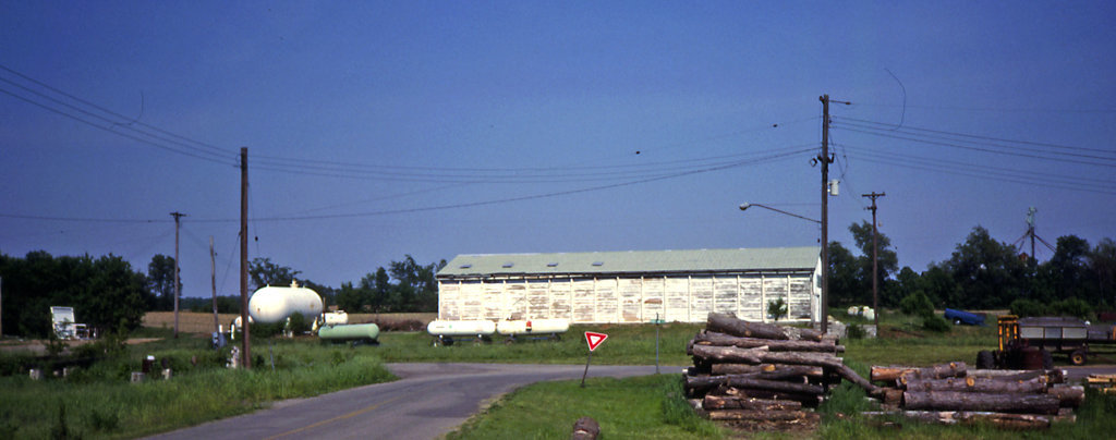 Springport Elevator