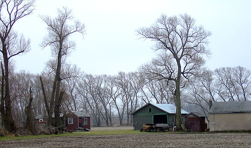 Amongst the Windbreaks