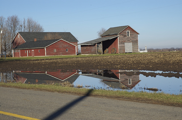 Thanksgiving reflection