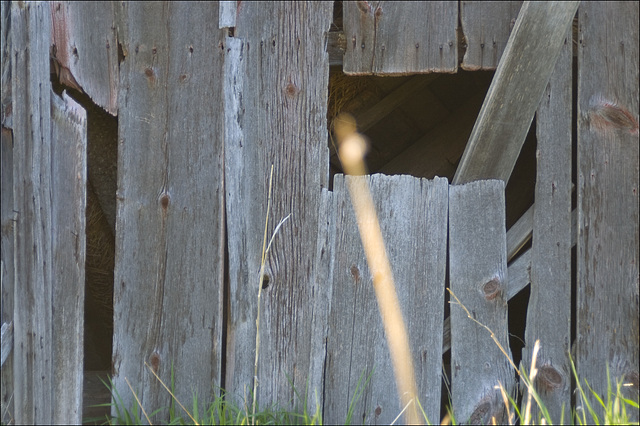 The Barn