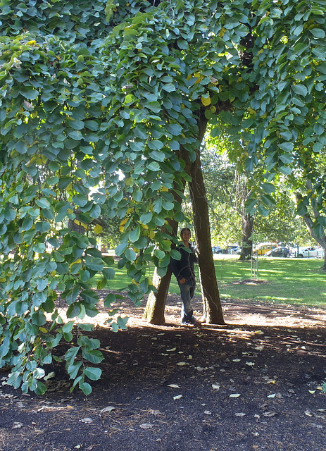 Ballarat Botanical Gardens