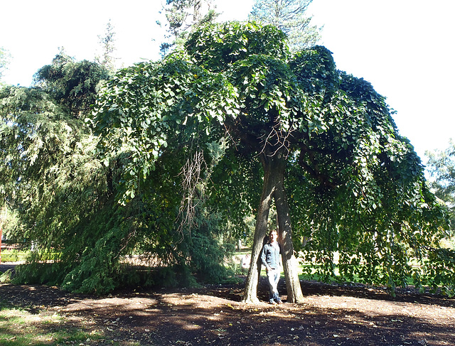 Ballarat Botanical Gardens