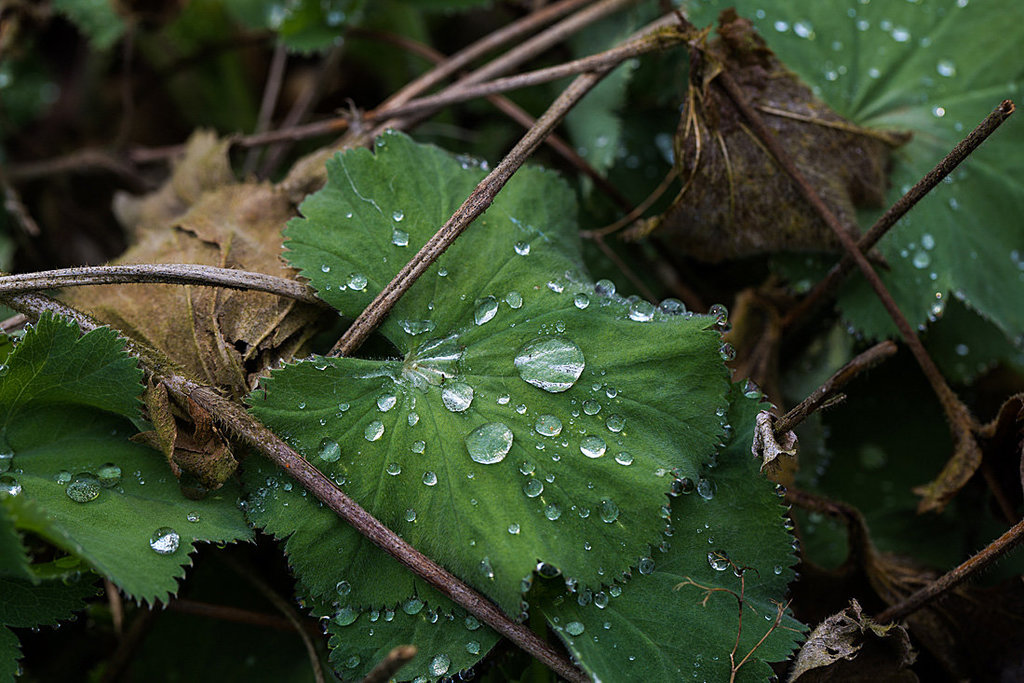 20140423 1444VRMw [D-LIP] Wassertropfen, UWZ, Bad Salzuflen