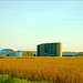Soybean Field, with Silos