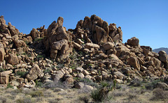 Joshua Tree National Park (5872)