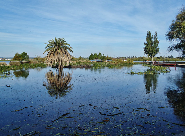 Lake Wendouree