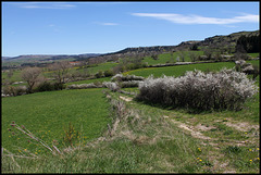 Chemin de Prunelliers