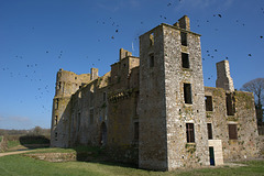 Envol de corbeaux au château de Bois-Thibault