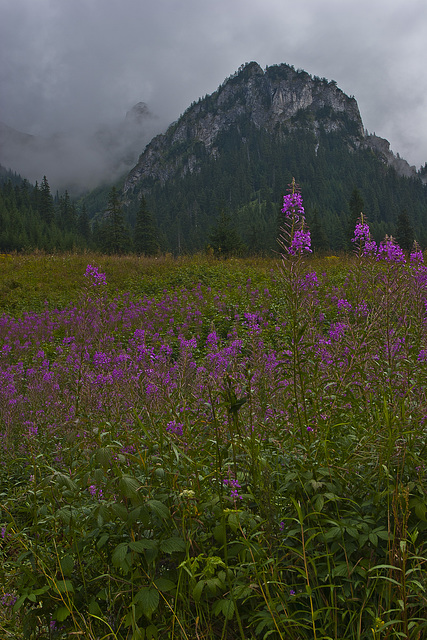 5cTatra MOUNTAIN