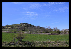 Paysage printanier