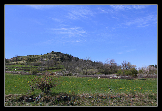 Paysage printanier