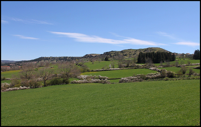 Le Pays vert