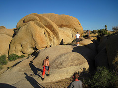 Jumbo Rocks (5892)