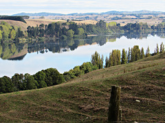 Waikato River Reflections