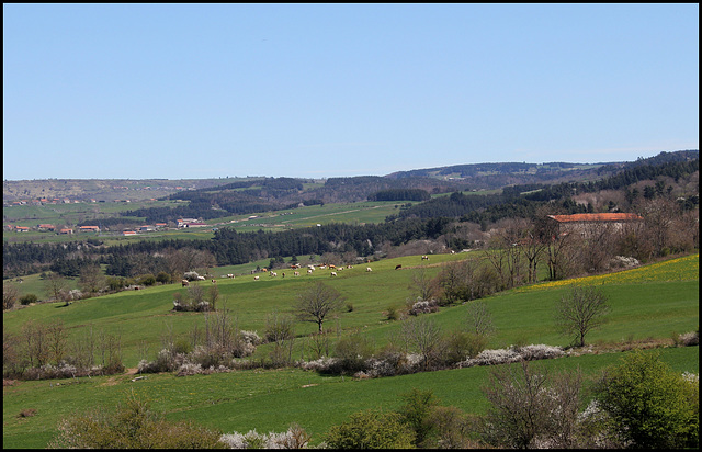 Le pays des sucs
