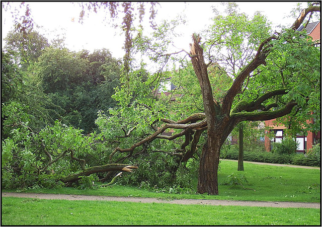 Neuss, 09.06.2014, Unwetter 043