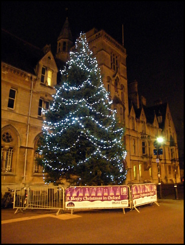 Oxford Council Christmas Tree