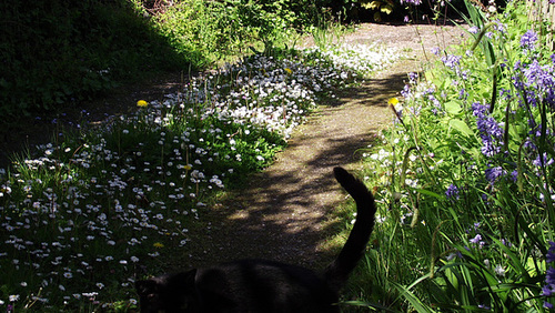 The top of the drive is colourful too