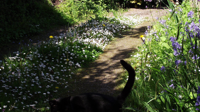 The top of the drive is colourful too