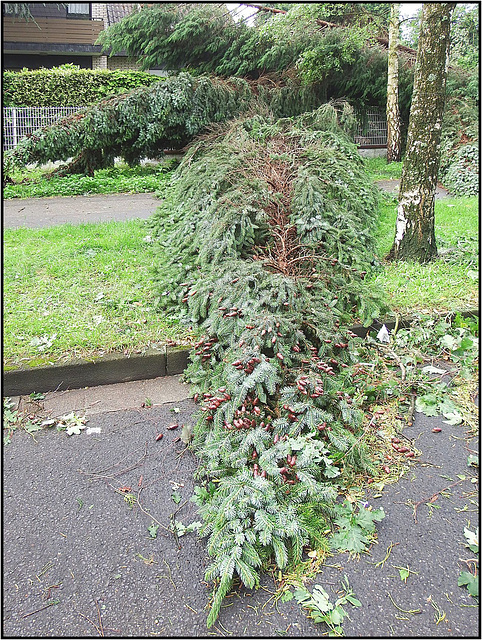 Neuss, 09.06.2014, Unwetter 070